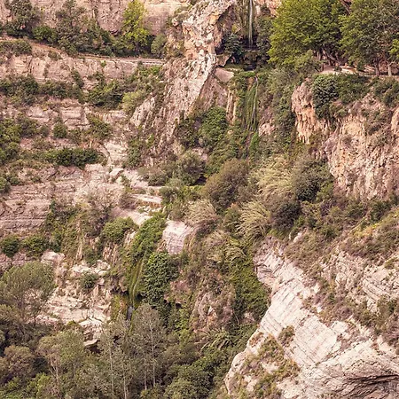 Aranetxea * Bigues I Riells