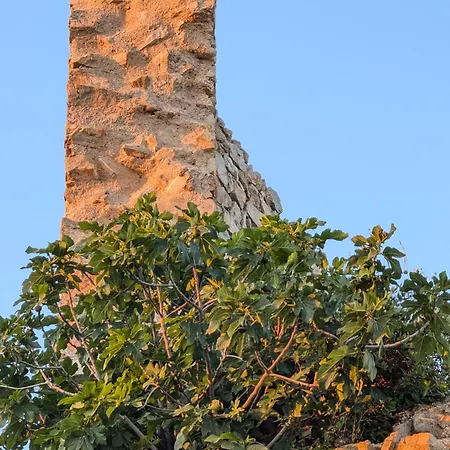 Aranetxea Apartment *