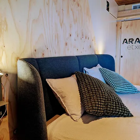 Aranetxea Apartment *