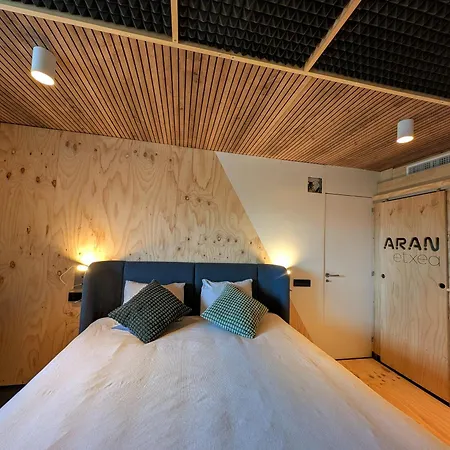 Aranetxea Apartament *